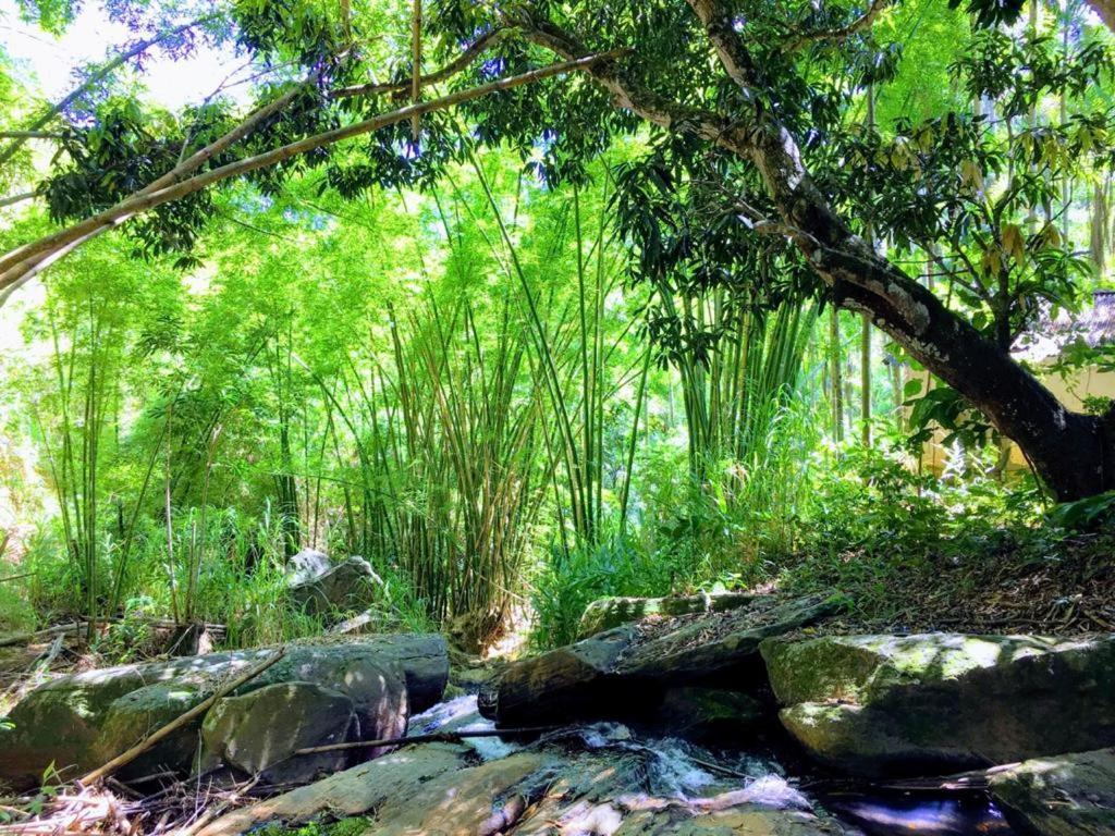 Casa/Sitio Na Serra Em Bom Jardim - Rj Buitenkant foto