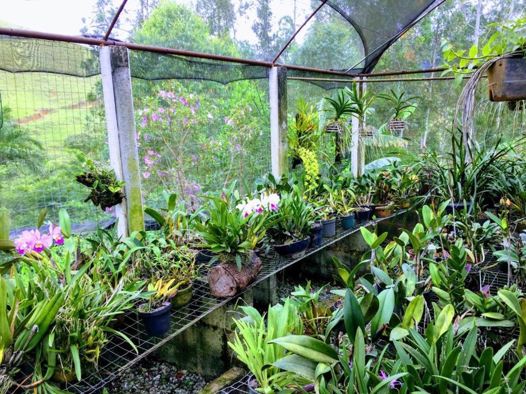 Casa/Sitio Na Serra Em Bom Jardim - Rj Buitenkant foto