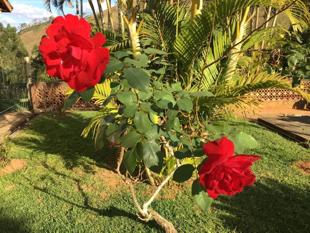 Casa/Sitio Na Serra Em Bom Jardim - Rj Buitenkant foto