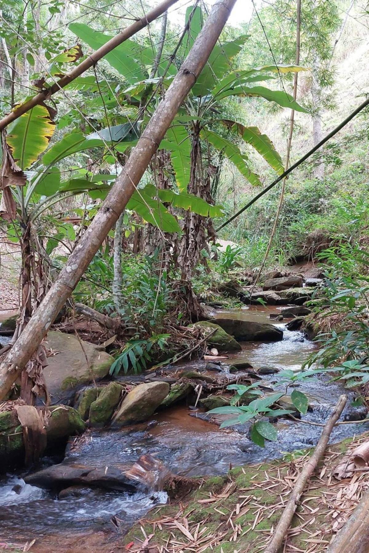 Casa/Sitio Na Serra Em Bom Jardim - Rj Buitenkant foto